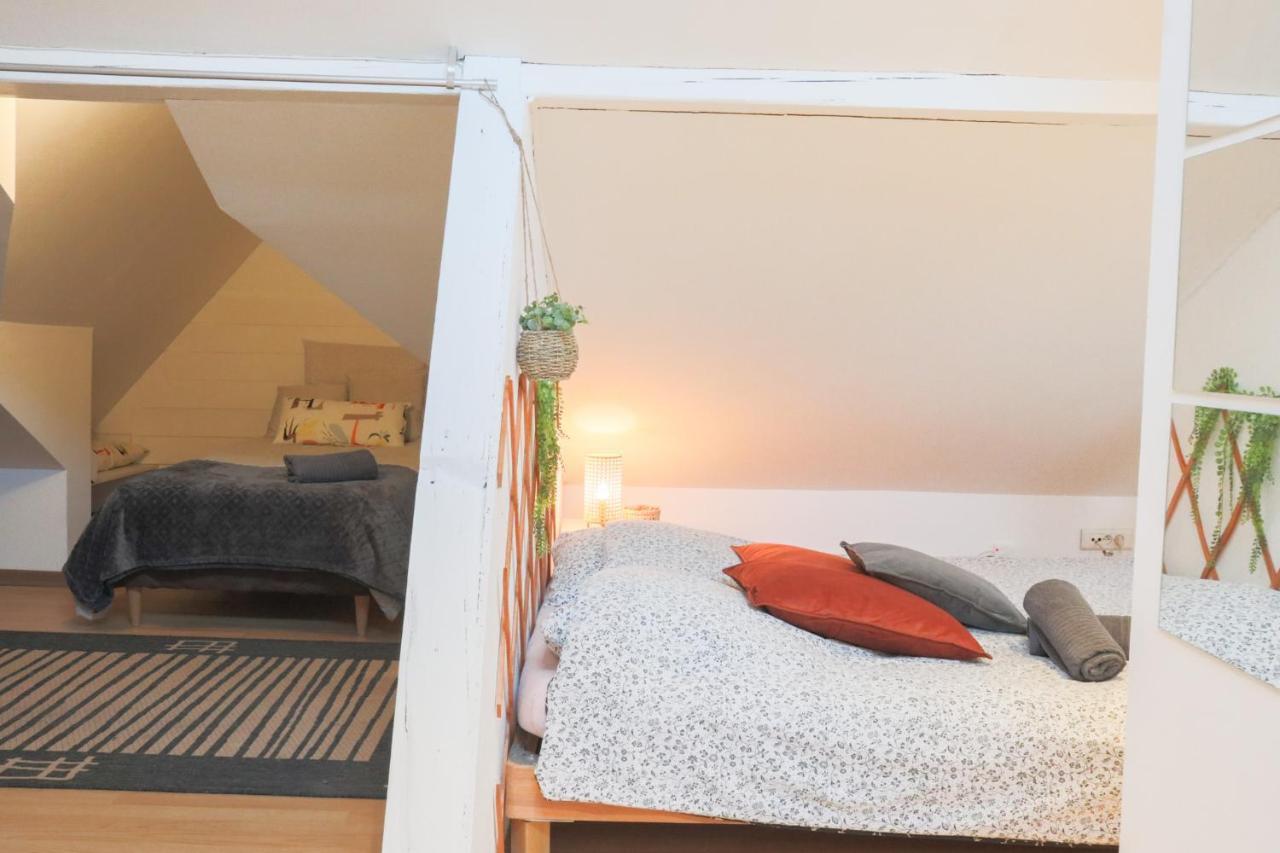 Le Petit Loft, Mulhouse Centreアパートメント エクステリア 写真