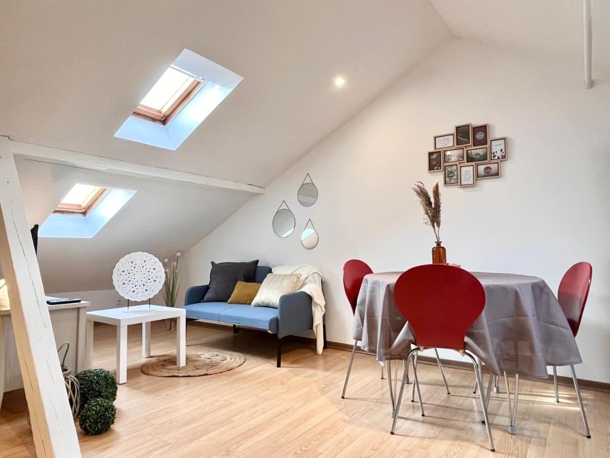 Le Petit Loft, Mulhouse Centreアパートメント エクステリア 写真