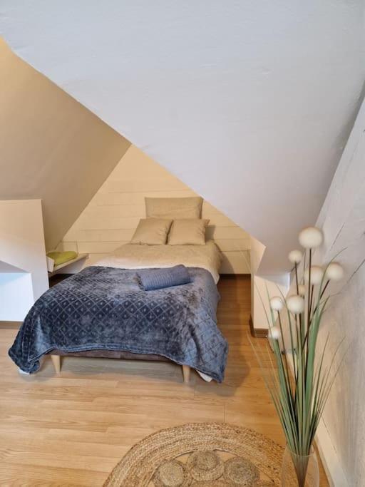 Le Petit Loft, Mulhouse Centreアパートメント エクステリア 写真