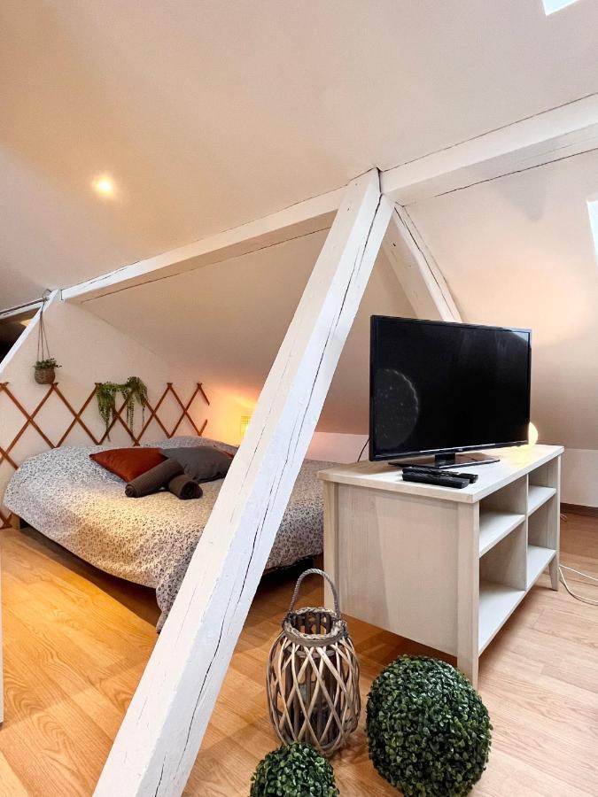 Le Petit Loft, Mulhouse Centreアパートメント エクステリア 写真